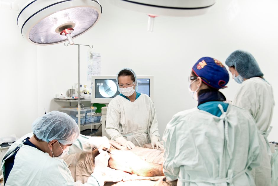 Surgical team performing a complex hepatobiliary procedure in a Seoul transplant center