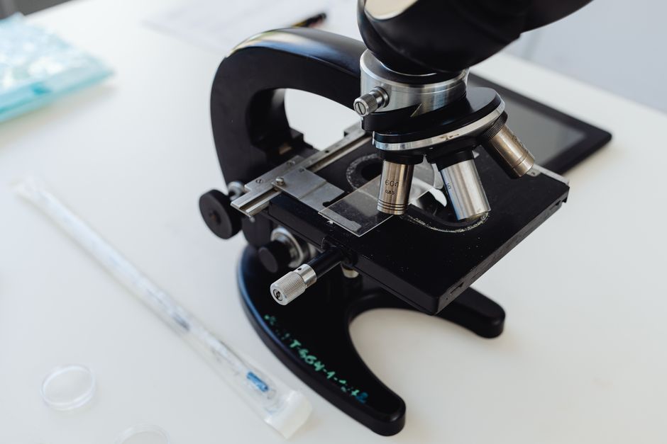 Embryologist working with oocytes in IVM culture laboratory