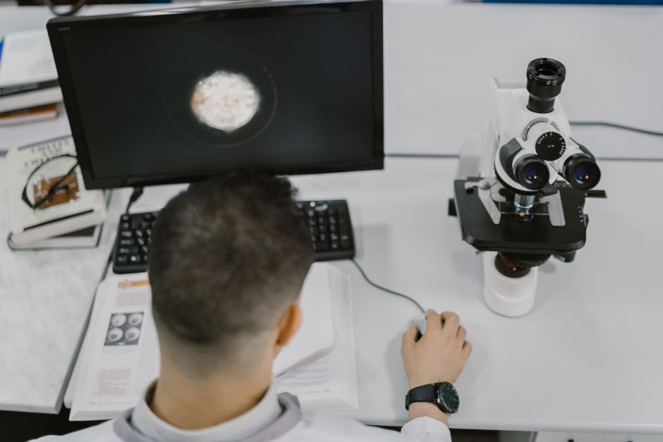 Embryologist reviewing time-lapse embryo development footage in fertility lab