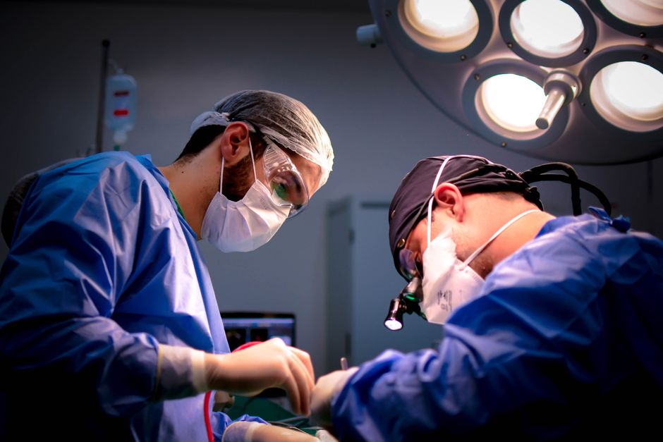 Small Intestine Transplantation procedure - Patient consultation at KAHF-accredited hospital in Seoul, South Korea